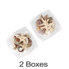 Load image into Gallery viewer, 1/2/5Box Natural Mini Conch Shells Starfish Sea Beach Ornaments Shell Design Conch Epoxy Mold Filling Home Deco Manicure Tools